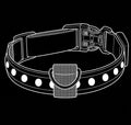 LED collar for your friend-in-paw